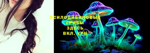 амф Слюдянка