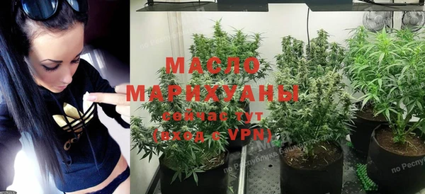 амф Слюдянка