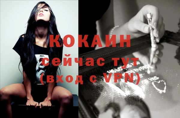 амф Слюдянка