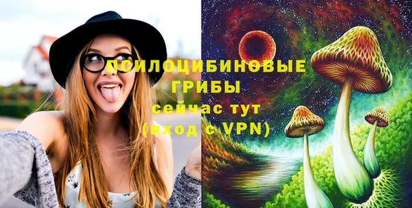 амф Слюдянка