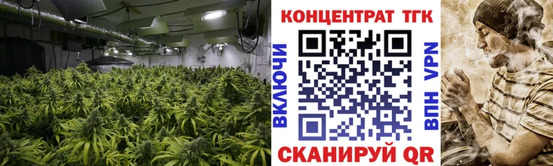 ТГК концентрат Сурск