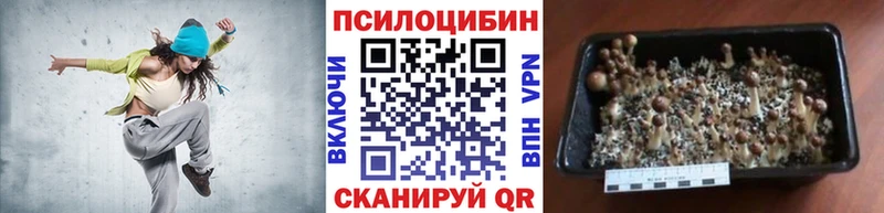 Псилоцибиновые грибы Cubensis  Сурск 