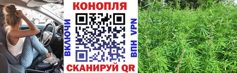 Бошки марихуана THC 21% Сурск